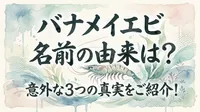 バナメイエビ 名前の由来は？意外な3つの真実をご紹介！