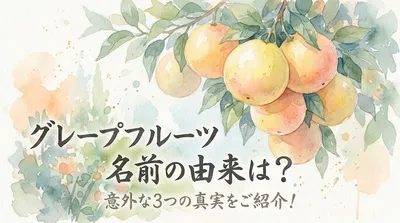 グレープフルーツ 名前の由来は？意外な3つの真実をご紹介！