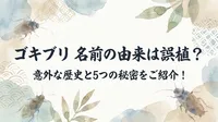ゴキブリ 名前の由来は誤植？意外な歴史と5つの秘密をご紹介！