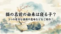猫の名前の由来は寝る子？3つの有力な語源や意味などをご紹介！