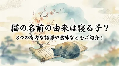 猫の名前の由来は寝る子？3つの有力な語源や意味などをご紹介！