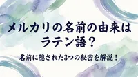 メルカリの名前の由来はラテン語？名前に隠された3つの秘密を解説！