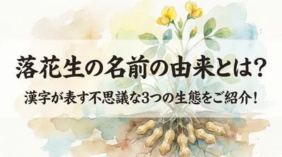 落花生の名前の由来とは？漢字が表す不思議な3つの生態をご紹介！