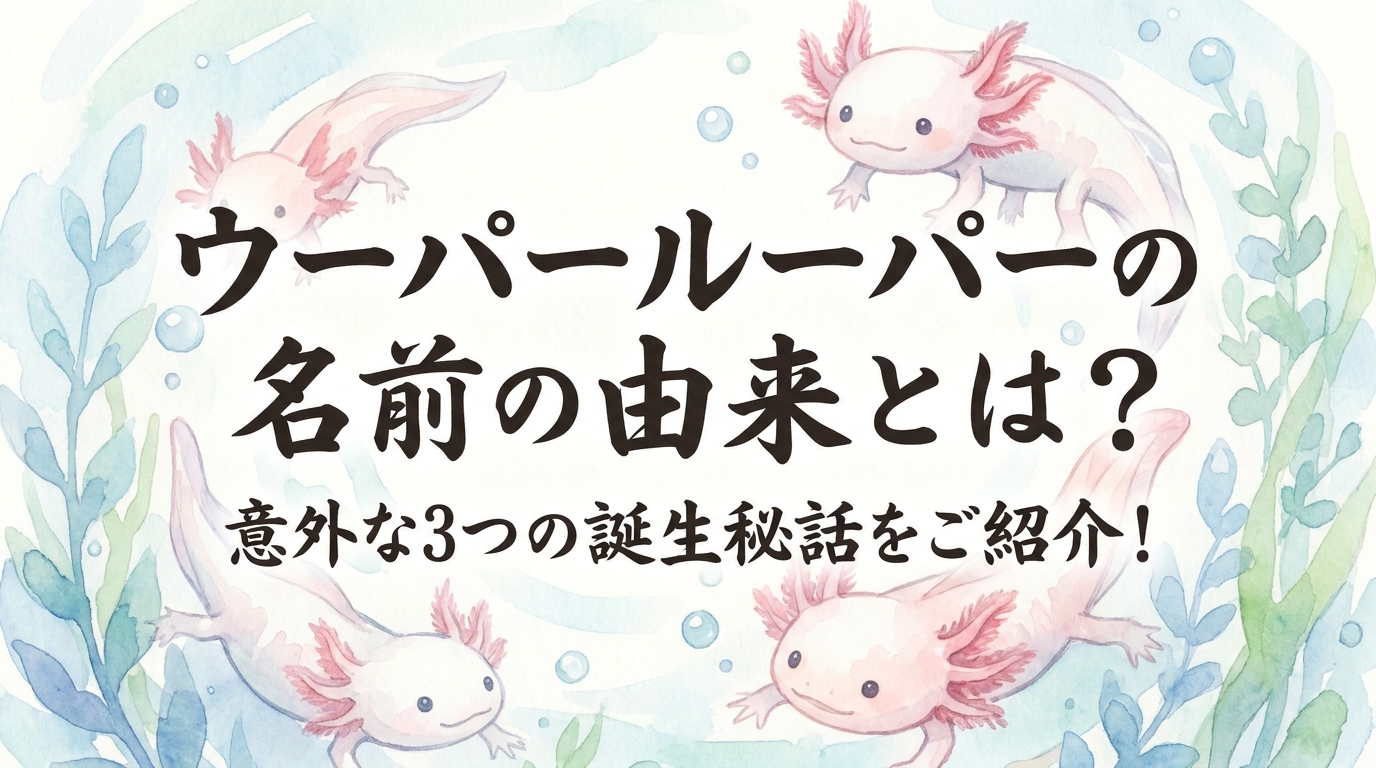 ウーパールーパーの名前の由来とは？意外な3つの誕生秘話をご紹介！