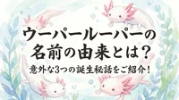 ウーパールーパーの名前の由来とは？意外な3つの誕生秘話をご紹介！