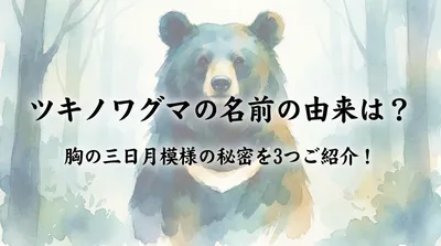 ツキノワグマの名前の由来は？胸の三日月模様の秘密を3つご紹介！