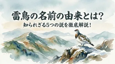 雷鳥の名前の由来とは？知られざる5つの説を徹底解説！