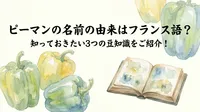 ピーマンの名前の由来はフランス語？知っておきたい3つの豆知識をご紹介！