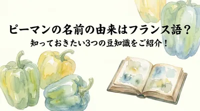 ピーマンの名前の由来はフランス語？知っておきたい3つの豆知識をご紹介！