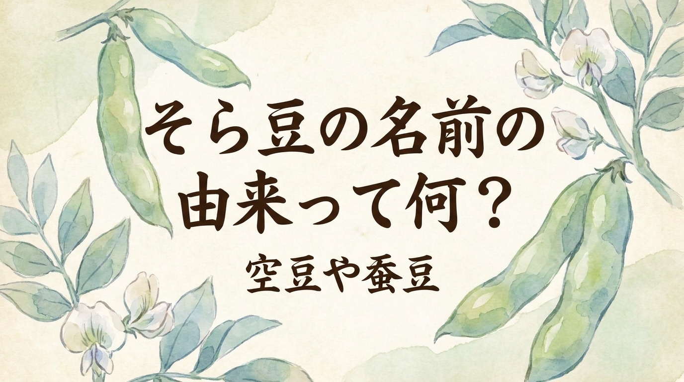 そら豆の名前の由来って何？空豆や蚕豆の意味と不思議な豆知識！