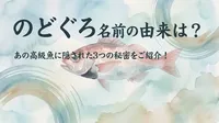 のどぐろ 名前の由来は？あの高級魚に隠された3つの秘密をご紹介！