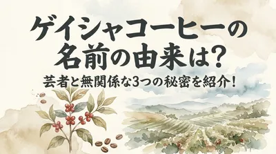 ゲイシャコーヒーの名前の由来は？芸者と無関係な3つの秘密を紹介！