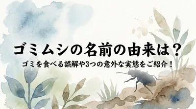 ゴミムシの名前の由来は？ゴミを食べる誤解や3つの意外な実態をご紹介！