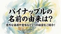パイナップルの名前の由来は？意外な語源や意味など5つの秘密をご紹介！