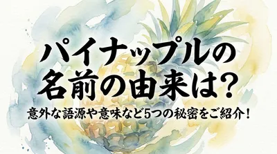 パイナップルの名前の由来は？意外な語源や意味など5つの秘密をご紹介！