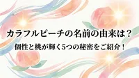 カラフルピーチの名前の由来は？個性と桃が輝く5つの秘密をご紹介！