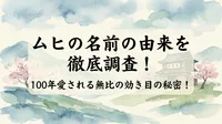 ムヒの名前の由来を徹底調査！100年愛される無比の効き目の秘密！