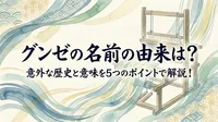 グンゼの名前の由来は？意外な歴史と意味を5つのポイントで解説！