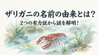 ザリガニの名前の由来とは？2つの有力説から謎を解明！