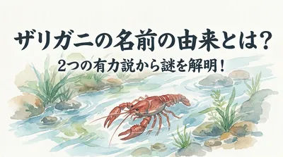 ザリガニの名前の由来とは？2つの有力説から謎を解明！