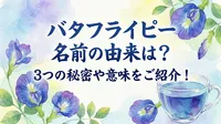 バタフライ ピー 名前の由来は？3つの秘密や意味をご紹介！