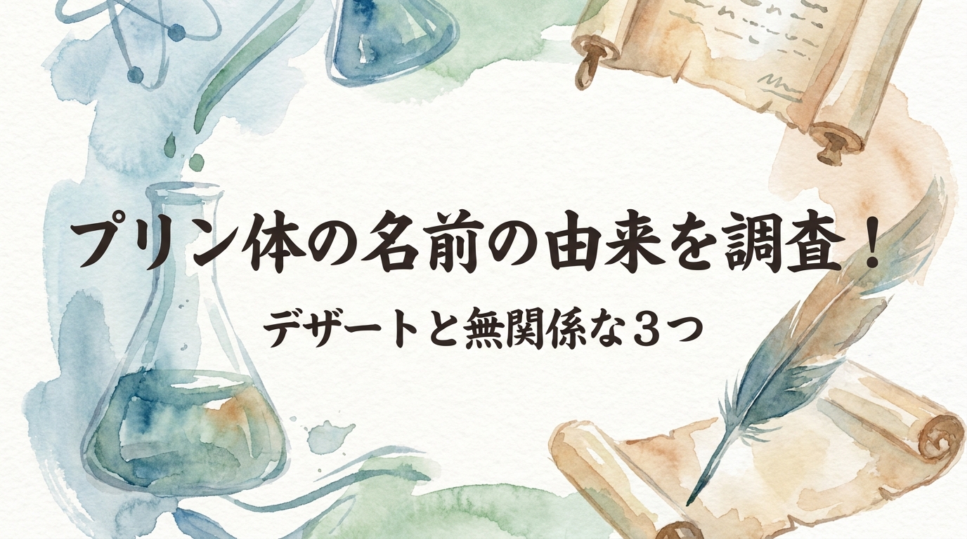 プリン体の名前の由来を調査！デザートと無関係な3つの理由とは？