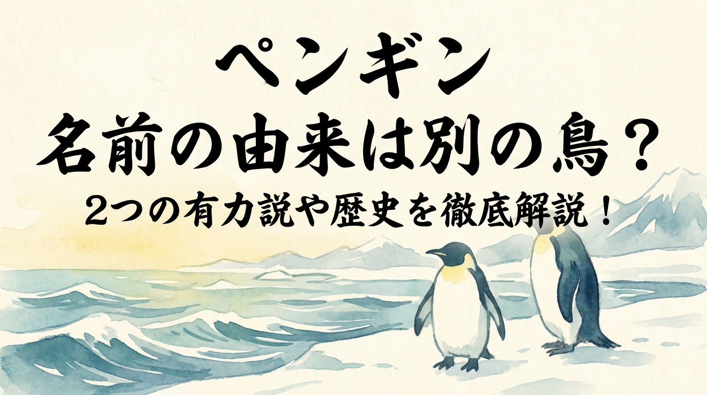 ペンギン 名前の由来は別の鳥？2つの有力説や歴史を徹底解説！