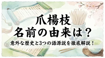 爪楊枝 名前の由来は？意外な歴史と3つの語源説を徹底解説！